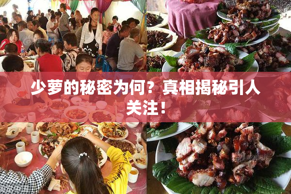 少萝的秘密为何？真相揭秘引人关注！