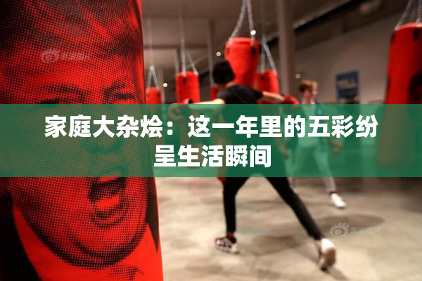 家庭大杂烩：这一年里的五彩纷呈生活瞬间