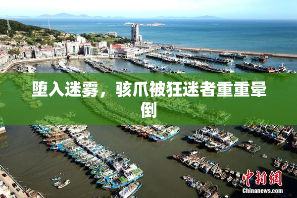 堕入迷雾，骇爪被狂迷者重重晕倒