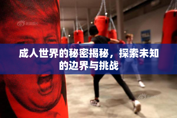 成人世界的秘密揭秘，探索未知的边界与挑战