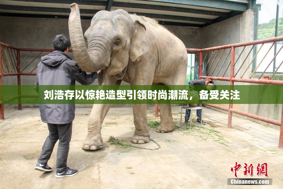 刘浩存以惊艳造型引领时尚潮流，备受关注