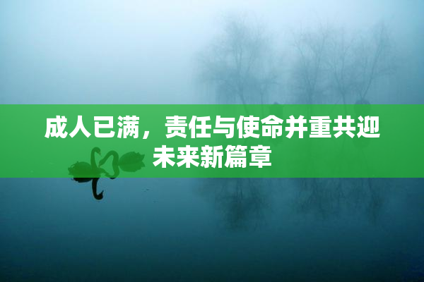 成人已满，责任与使命并重共迎未来新篇章