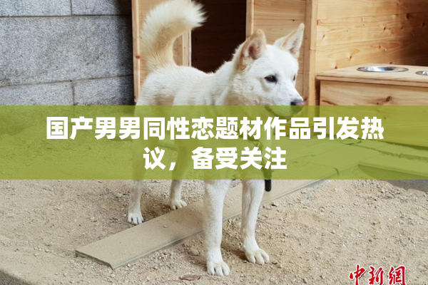 国产男男同性恋题材作品引发热议，备受关注