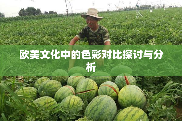 欧美文化中的色彩对比探讨与分析