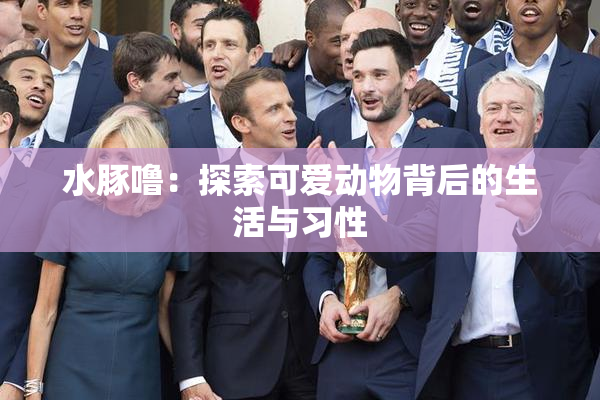 水豚噜：探索可爱动物背后的生活与习性