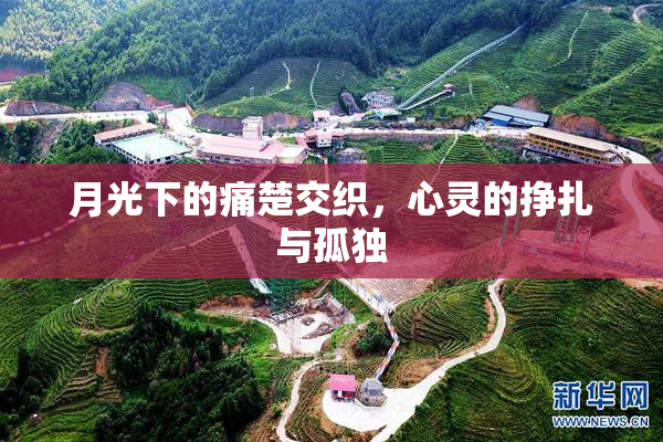 月光下的痛楚交织，心灵的挣扎与孤独