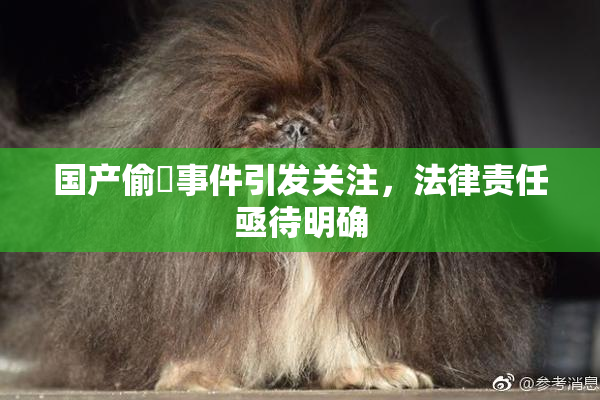 国产偷抇事件引发关注，法律责任亟待明确