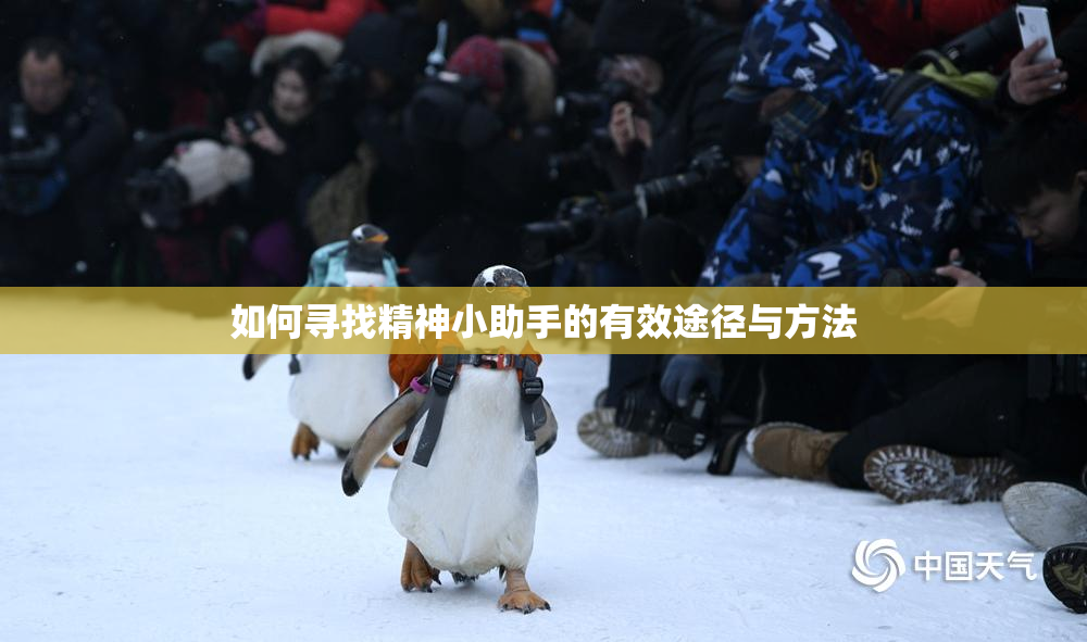 如何寻找精神小助手的有效途径与方法