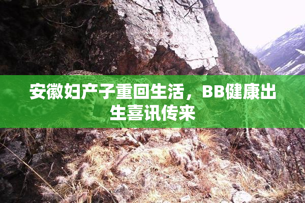 安徽妇产子重回生活，BB健康出生喜讯传来