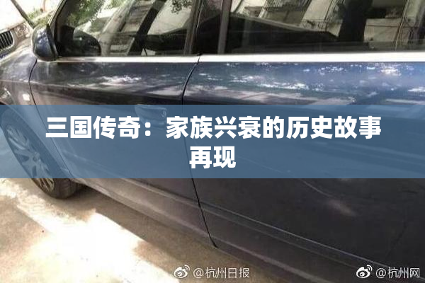 三国传奇：家族兴衰的历史故事再现