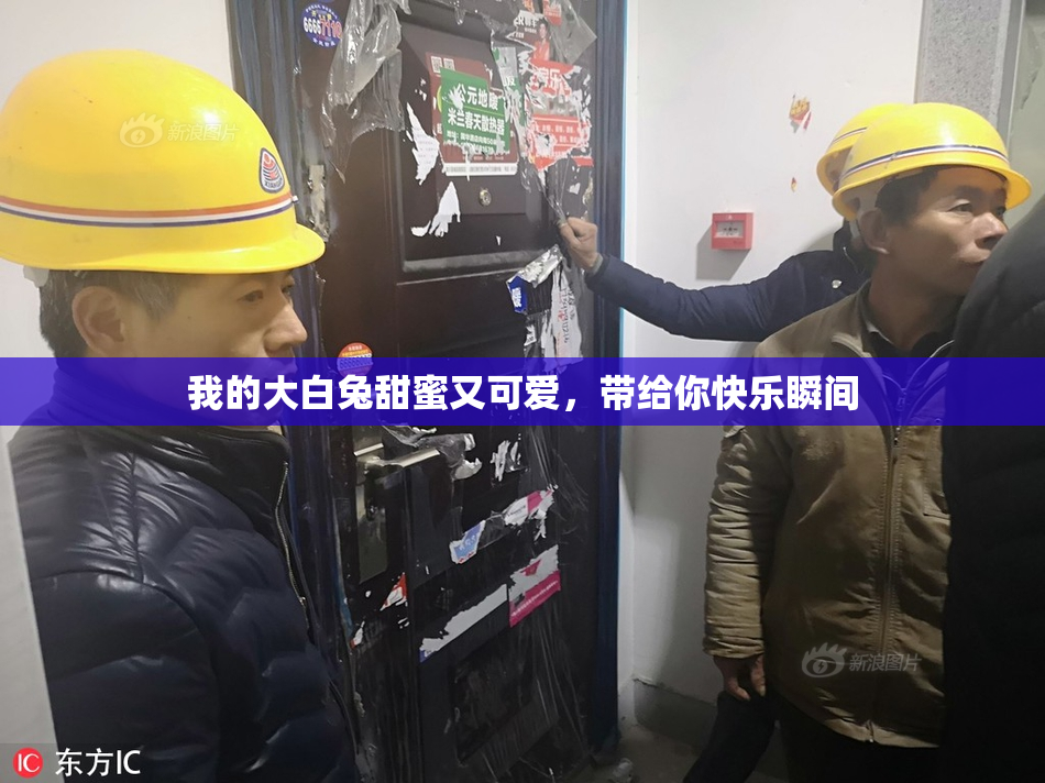 我的大白兔甜蜜又可爱，带给你快乐瞬间