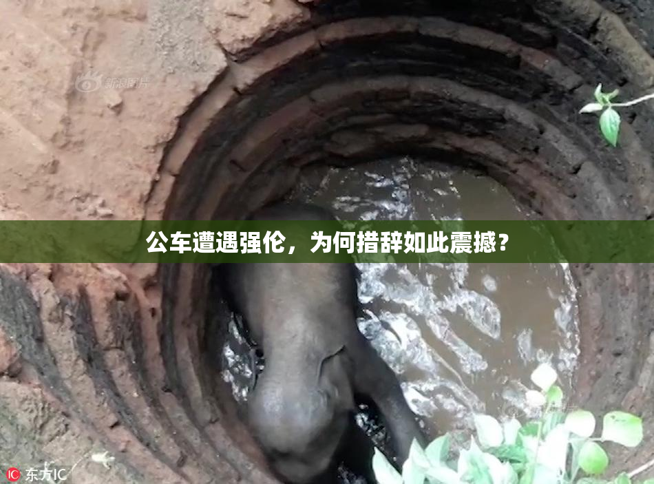 公车遭遇强伦，为何措辞如此震撼？