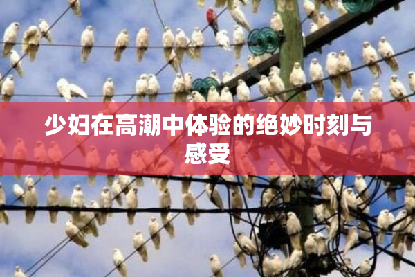 少妇在高潮中体验的绝妙时刻与感受