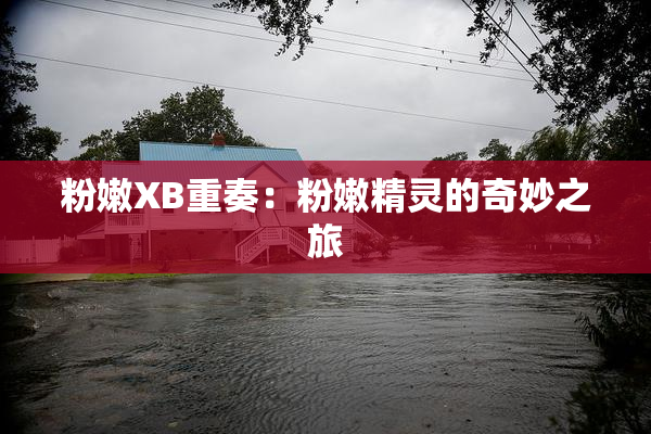 粉嫩XB重奏：粉嫩精灵的奇妙之旅