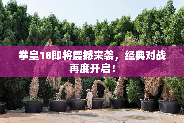拳皇18即将震撼来袭，经典对战再度开启！