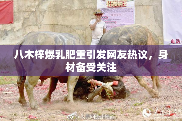 八木梓爆乳肥重引发网友热议，身材备受关注