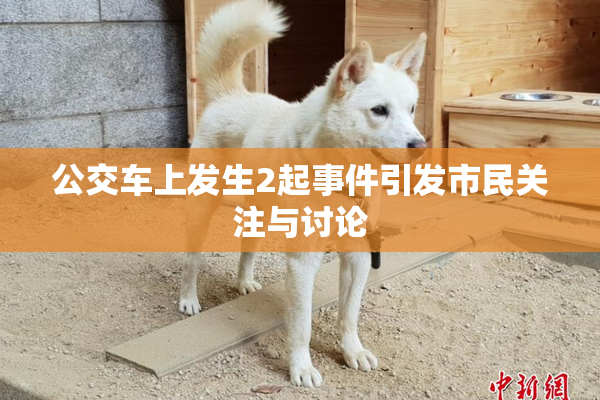 公交车上发生2起事件引发市民关注与讨论