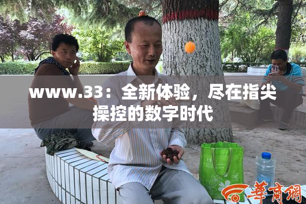 www.33：全新体验，尽在指尖操控的数字时代