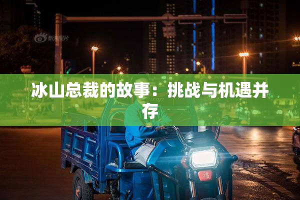 冰山总裁的故事：挑战与机遇并存