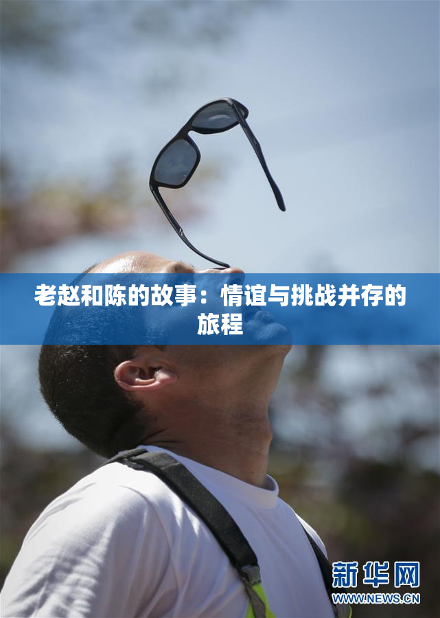 老赵和陈的故事：情谊与挑战并存的旅程