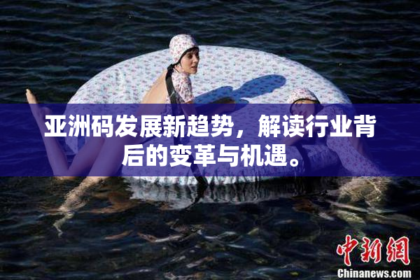 亚洲码发展新趋势，解读行业背后的变革与机遇。