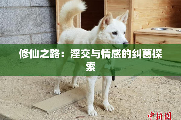 修仙之路：淫交与情感的纠葛探索