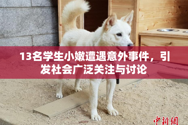 13名学生小嫩遭遇意外事件，引发社会广泛关注与讨论