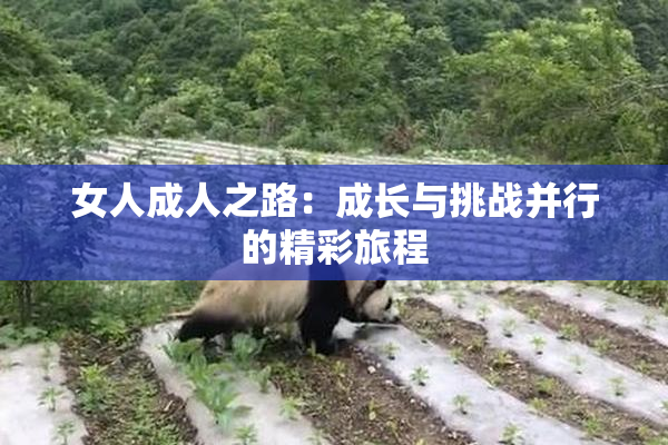 女人成人之路：成长与挑战并行的精彩旅程