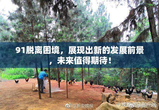 91脱离困境，展现出新的发展前景，未来值得期待！