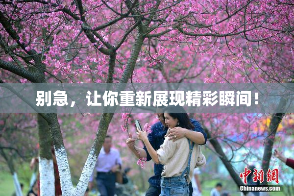 别急，让你重新展现精彩瞬间！