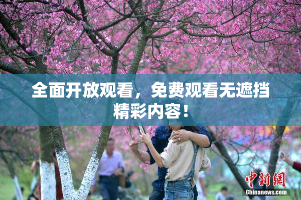 全面开放观看，免费观看无遮挡精彩内容！