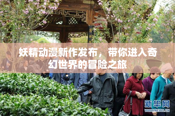 妖精动漫新作发布，带你进入奇幻世界的冒险之旅