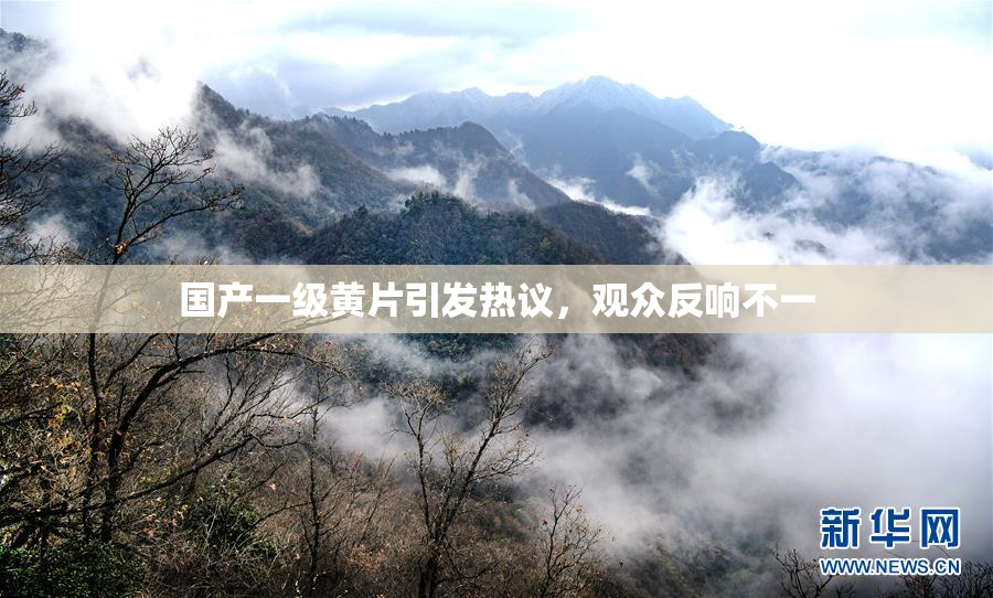 国产一级黄片引发热议，观众反响不一