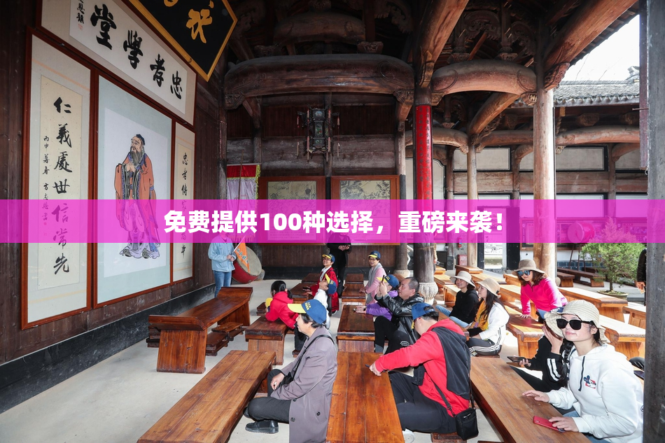 免费提供100种选择，重磅来袭！