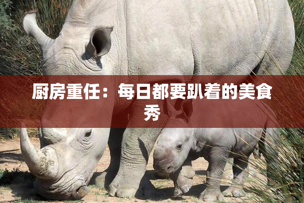 厨房重任：每日都要趴着的美食秀