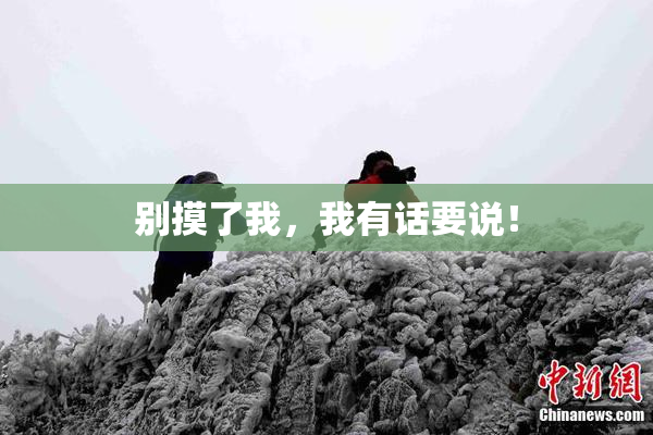 别摸了我，我有话要说！