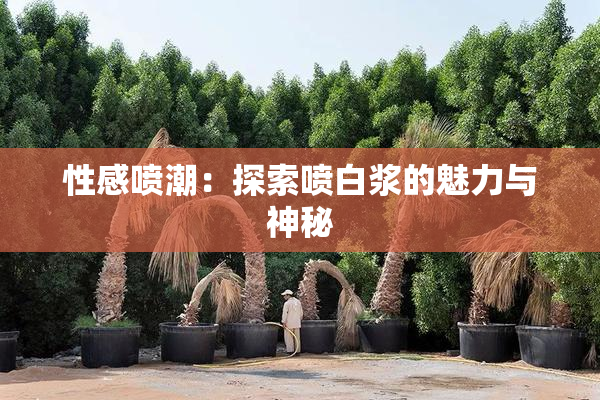 性感喷潮：探索喷白浆的魅力与神秘