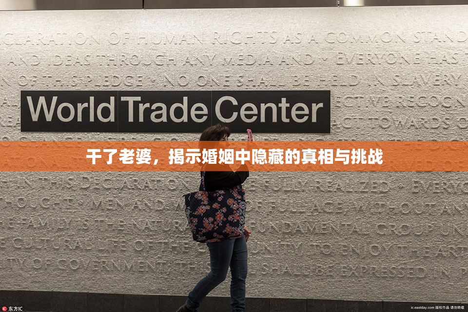 干了老婆，揭示婚姻中隐藏的真相与挑战