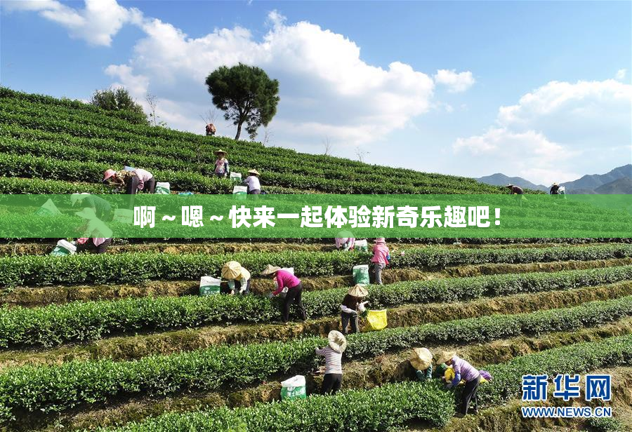 啊～嗯～快来一起体验新奇乐趣吧！