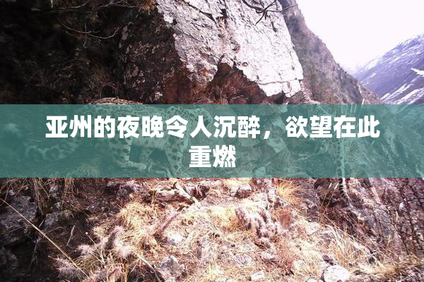 亚州的夜晚令人沉醉，欲望在此重燃