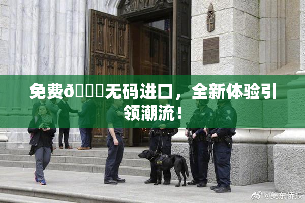 免费🔞无码进口，全新体验引领潮流！