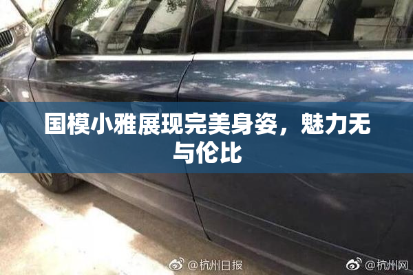 国模小雅展现完美身姿，魅力无与伦比
