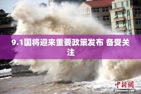 9.1国将迎来重要政策发布 备受关注