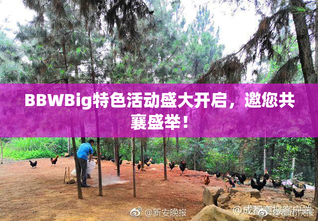 BBWBig特色活动盛大开启，邀您共襄盛举！