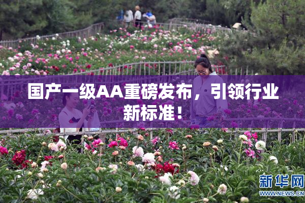 国产一级AA重磅发布，引领行业新标准！