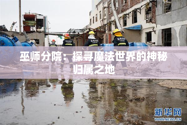 巫师分院：探寻魔法世界的神秘归属之地