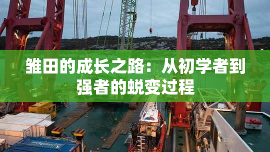 雏田的成长之路：从初学者到强者的蜕变过程