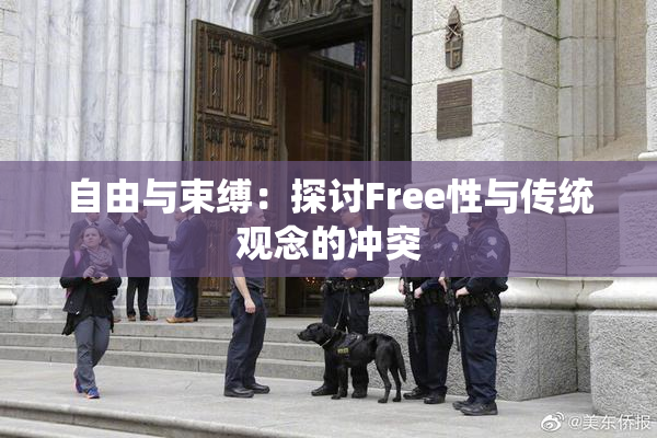 自由与束缚：探讨Free性与传统观念的冲突