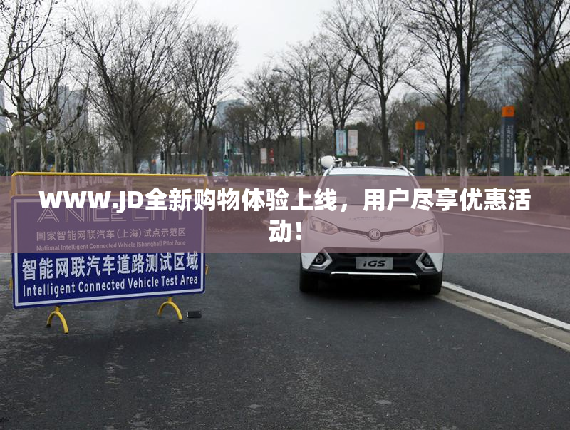WWW.JD全新购物体验上线，用户尽享优惠活动！