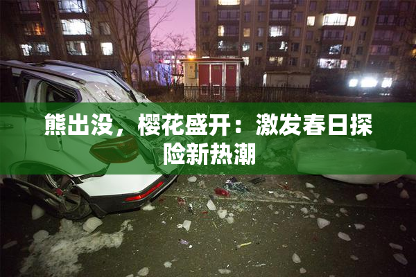 熊出没，樱花盛开：激发春日探险新热潮